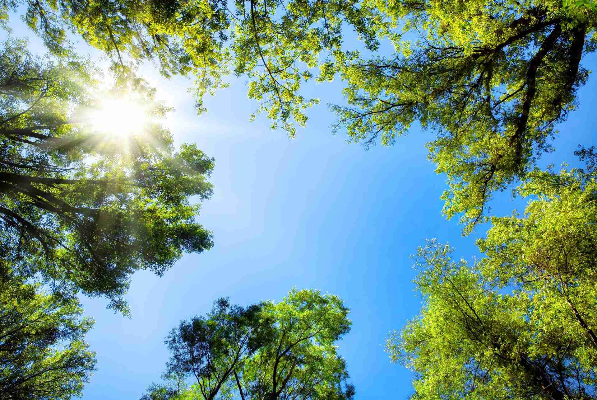AdobeStock_61813055 (1) (1)-min (1) gaia energy la tua scelta positiva