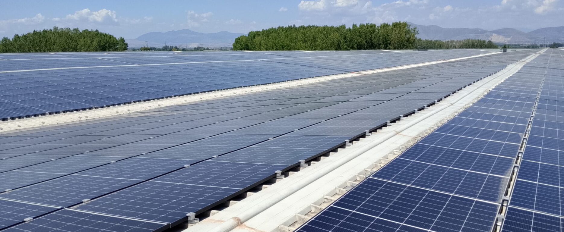 Impianto fotovoltaico da 2 MW realizzato in Campania da Gaia Energy