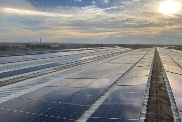 Impianto fotovoltaico da 500 kW realizzato in Campania da Gaia Energy