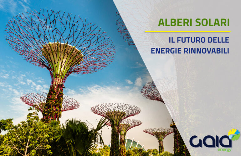 alberi solari