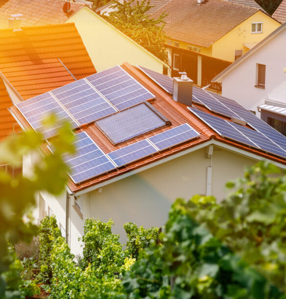 Solar panels on the tiled roof of the building in the sun. Top view through grape leaves. Selective focus. Solar panels on the tiled roof of the building in the sun. Top view through grape leaves. Selective focus. Blur