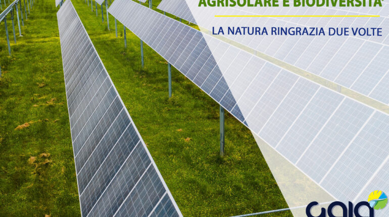 impianto fotovoltaico su terreno agricolo