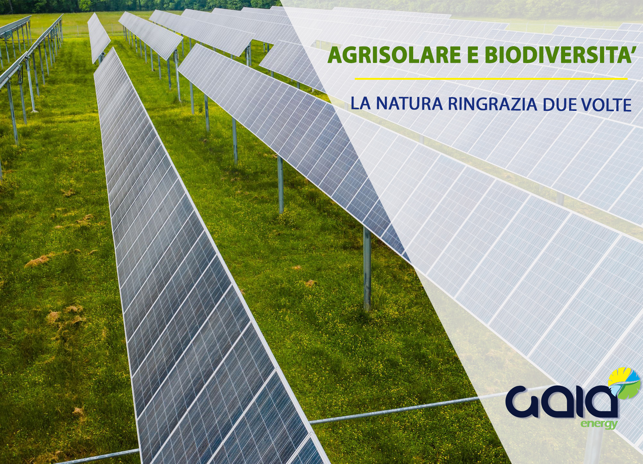 impianto fotovoltaico su terreno agricolo