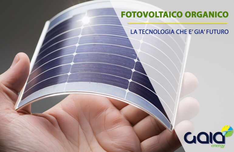 Blog Gaia FTV Organico_nw